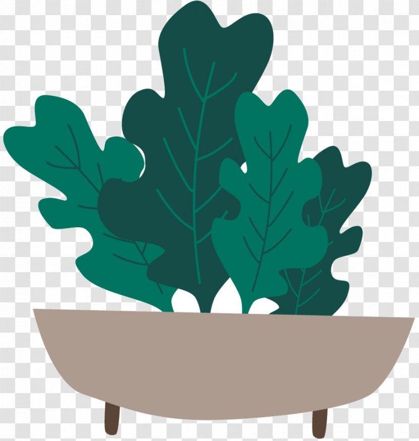 Leaf Product Design Tree - Plant Transparent PNG