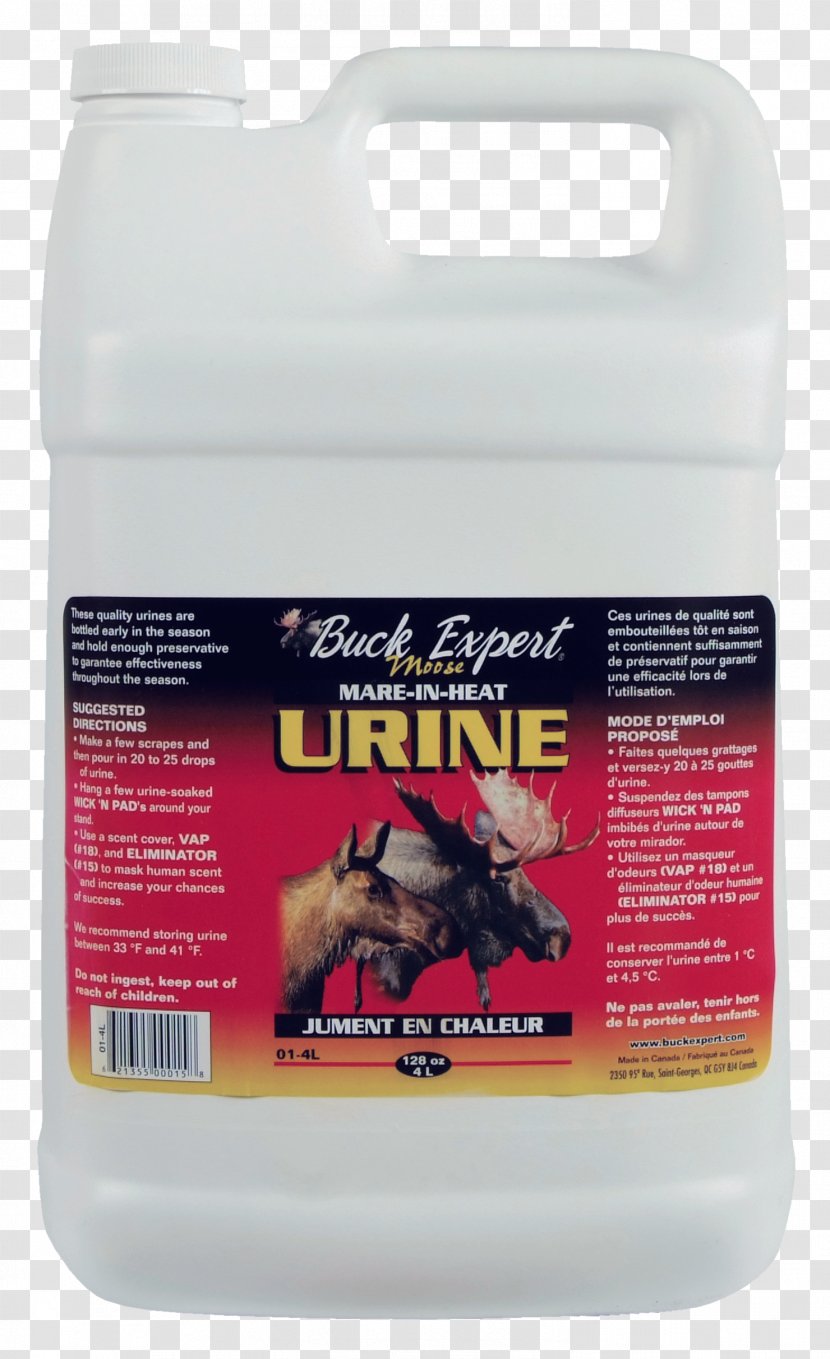 Mare Moose Horse Urine Premarin - Holding Gold Coins Transparent PNG