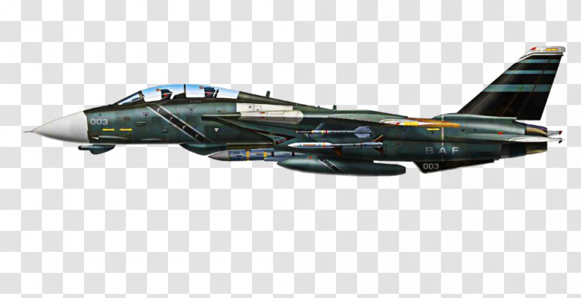 Grumman F-14 Tomcat Airplane Air Combat Military Aircraft - Fighter Transparent PNG