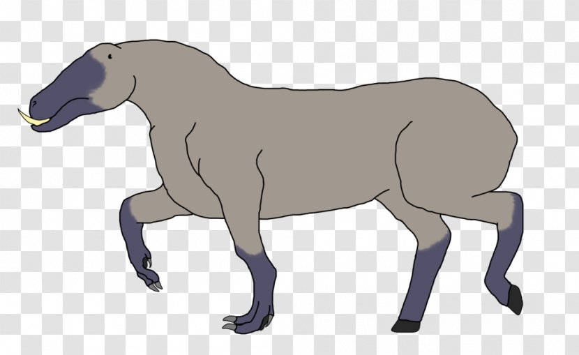 Mule Stallion Foal Mustang Mare - Tree - Drake Transparent PNG