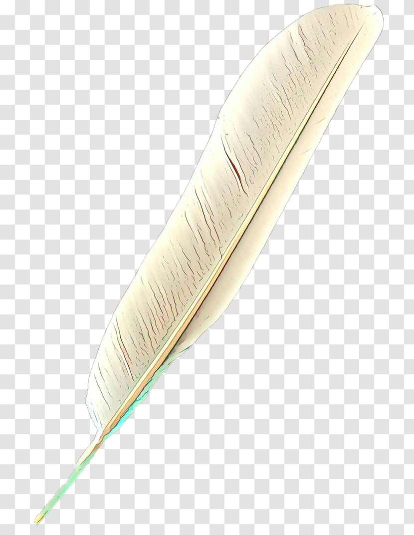 Feather - Cartoon - Natural Material Fashion Accessory Transparent PNG