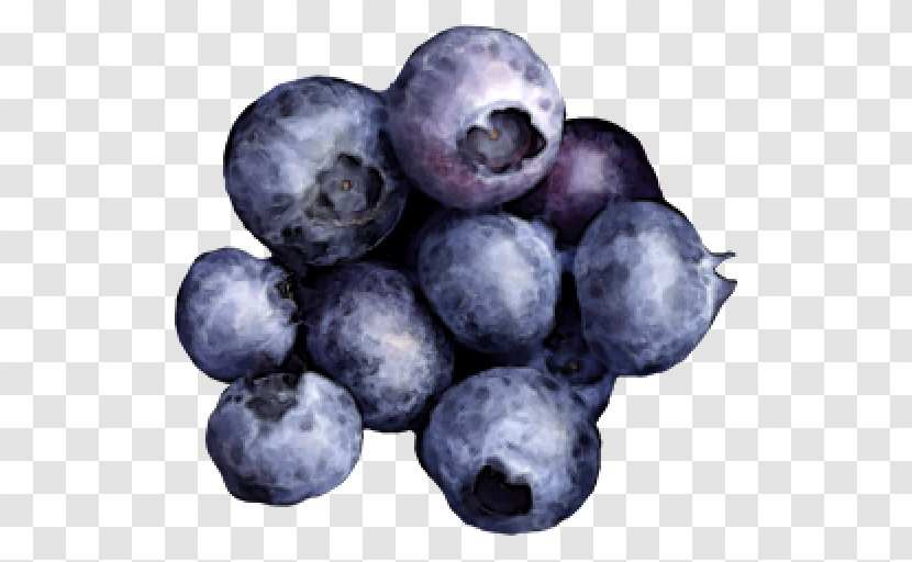 Blueberry Bilberry Huckleberry Juniper Berry Superfood Transparent PNG