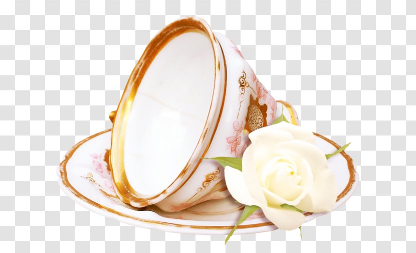 Teacup Dish Network - Food Transparent PNG