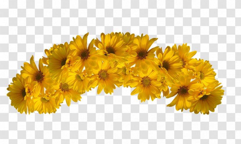 Flower Yellow Color - Common Sunflower - Crown Transparent PNG
