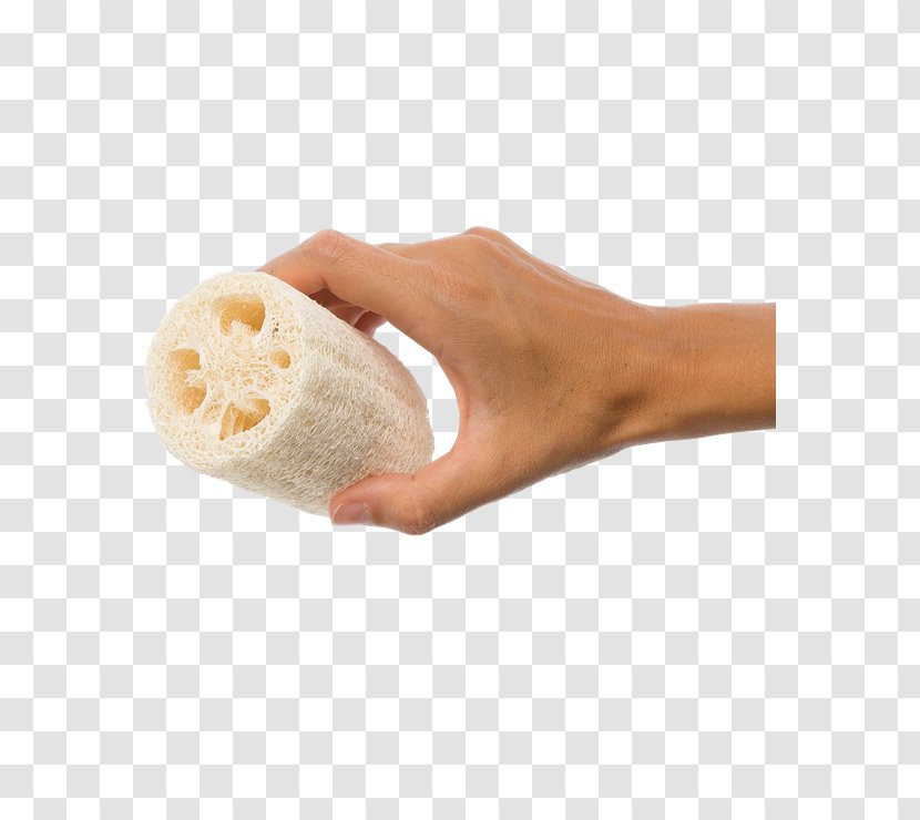 Finger Shoe - Luffa Transparent PNG