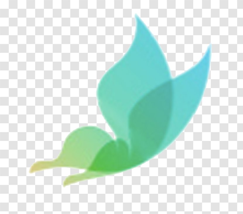 Compressed Natural Gas Company Logo Energy - Renewable - Makeup Transparent PNG