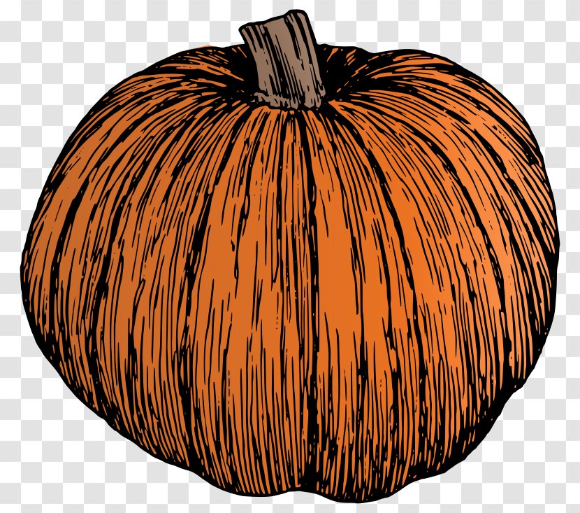 Clip Art Vector Graphics Drawing Pumpkin Openclipart - Winter Squash Transparent PNG