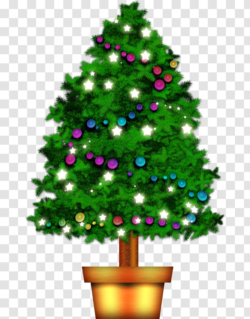 Christmas Tree Pine Fir Transparent PNG