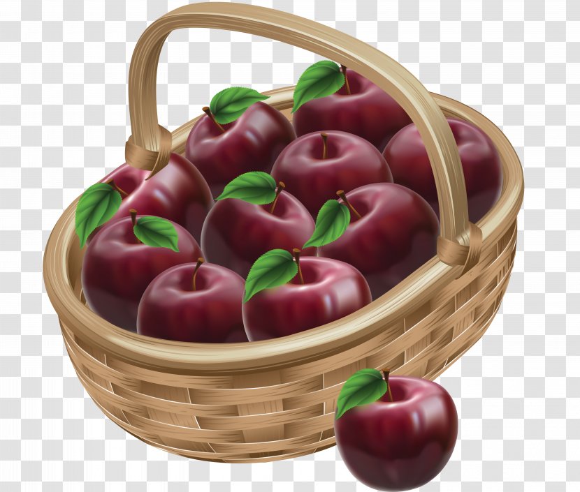 The Basket Of Apples Drawing Illustration - Photography - Apple Transparent PNG