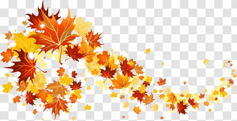 Autumn Leaf Color Clip Art - Branch - Falling Leaves Transparent Transparent PNG