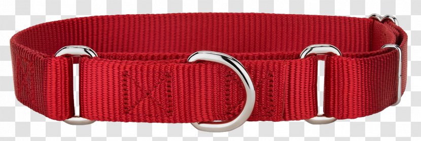 Poodle Dog Collar Martingale Dingo - Breed - Red Transparent PNG