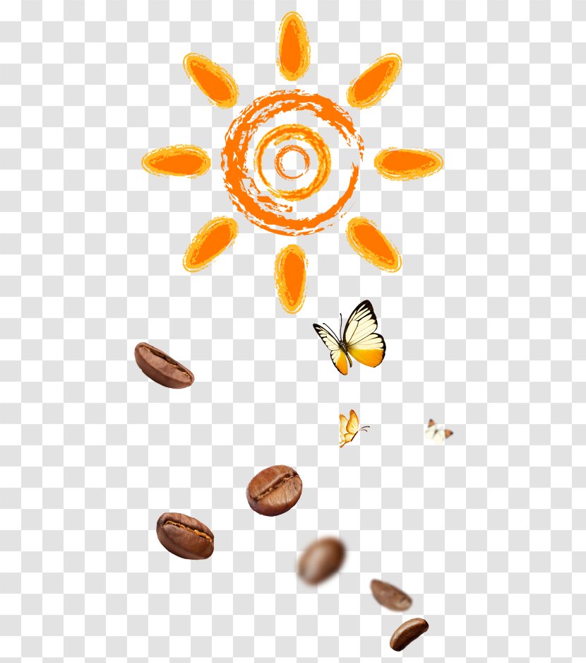 Sun Clip Art - Illustrator - Butterfly Coffee Bean Transparent PNG