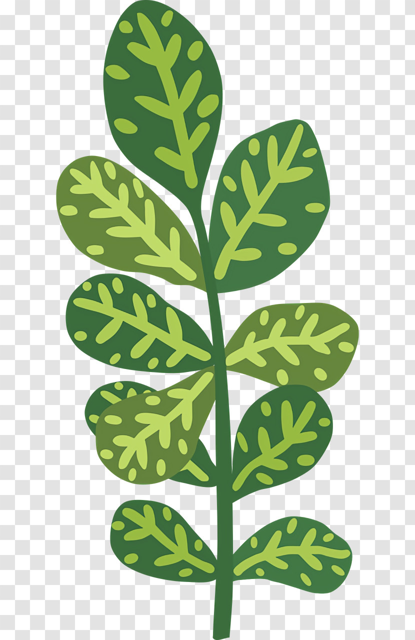 Leaf Plant Stem Tree Pattern Plants Transparent PNG