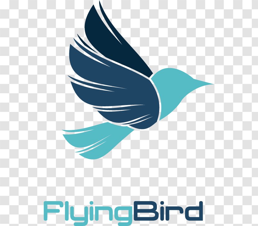 Bird Logo - Animal - Creative Transparent PNG