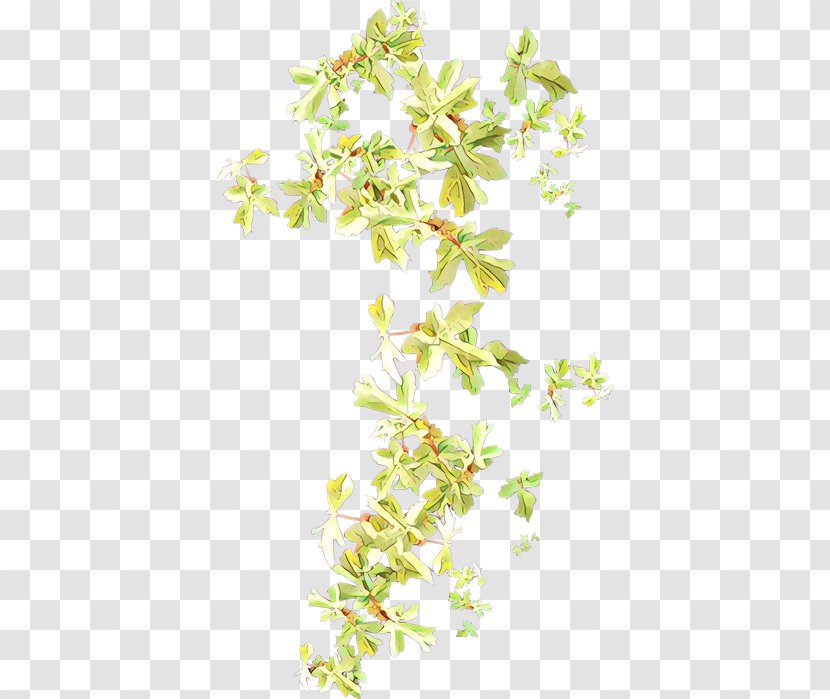 Flower Plant Branch Stem Transparent PNG