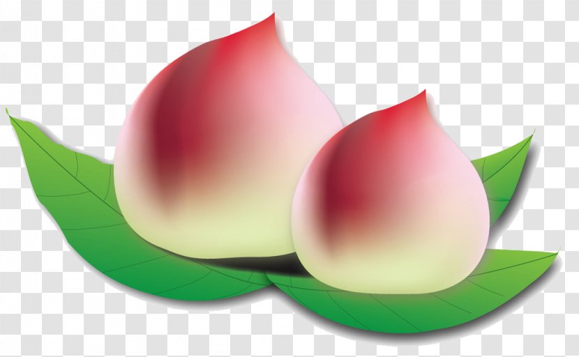 Saturn Peach Ali Fruit - Auglis Transparent PNG