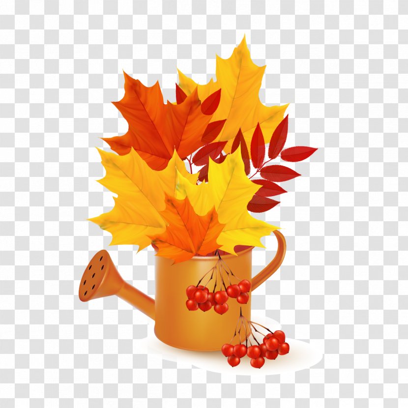 Autumn Leaf - Royaltyfree - Vector Pouring Kettle Maple Transparent PNG