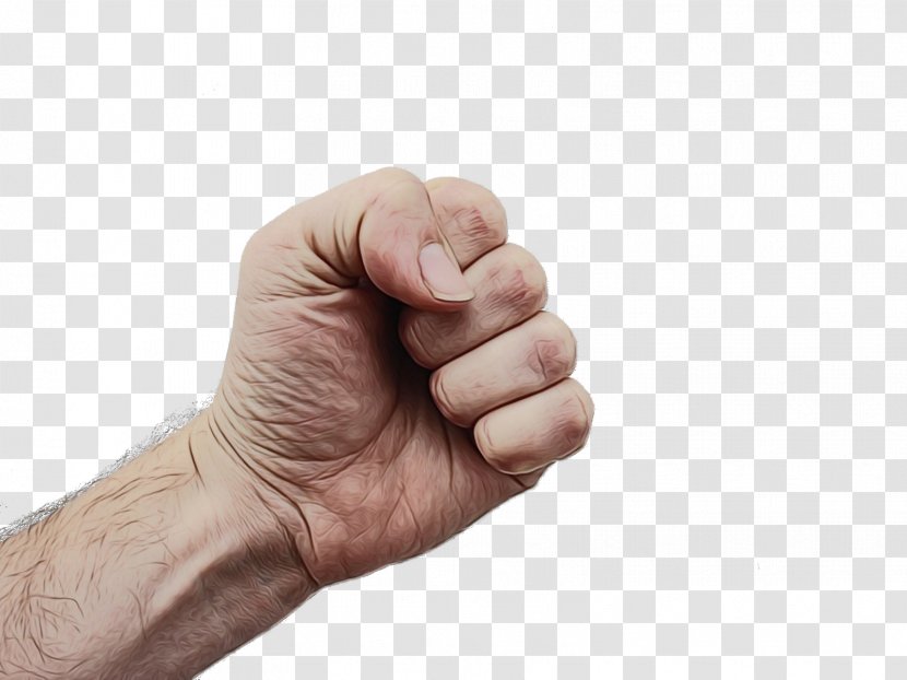 Finger Hand Thumb Gesture Arm - Wrist Sign Language Transparent PNG