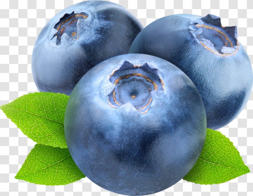 American Muffins Blueberry Tea Pie European - Plum Transparent PNG
