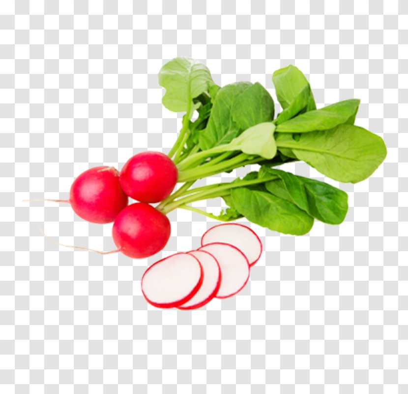 Daikon Garden Radish Food Vegetable Raphanus - Black Spanish Transparent PNG