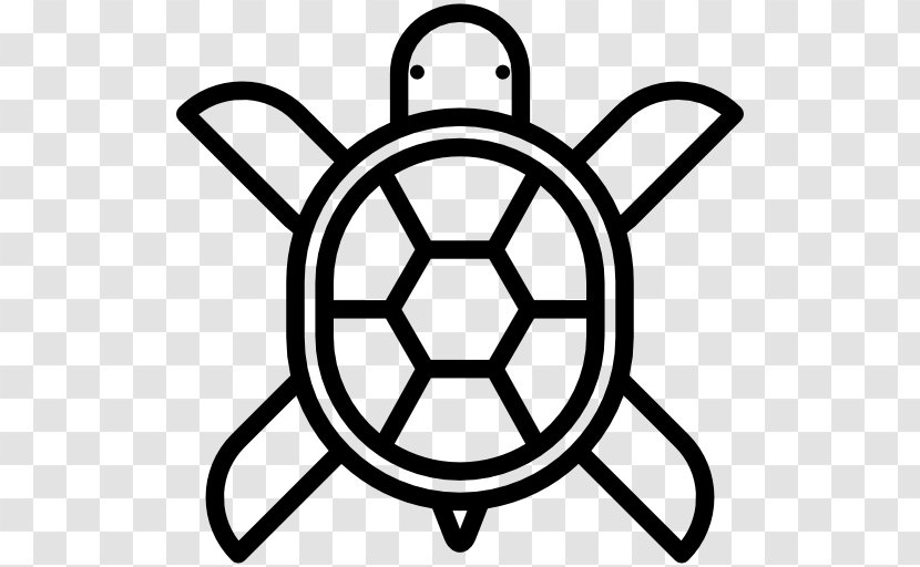 Bitcoin Business Cryptocurrency Turtle - Money - Coin Transparent PNG