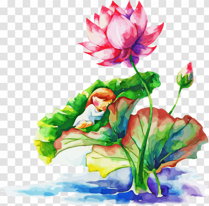 Watercolor Paint Flower Plant Cut Flowers Tulip Transparent PNG