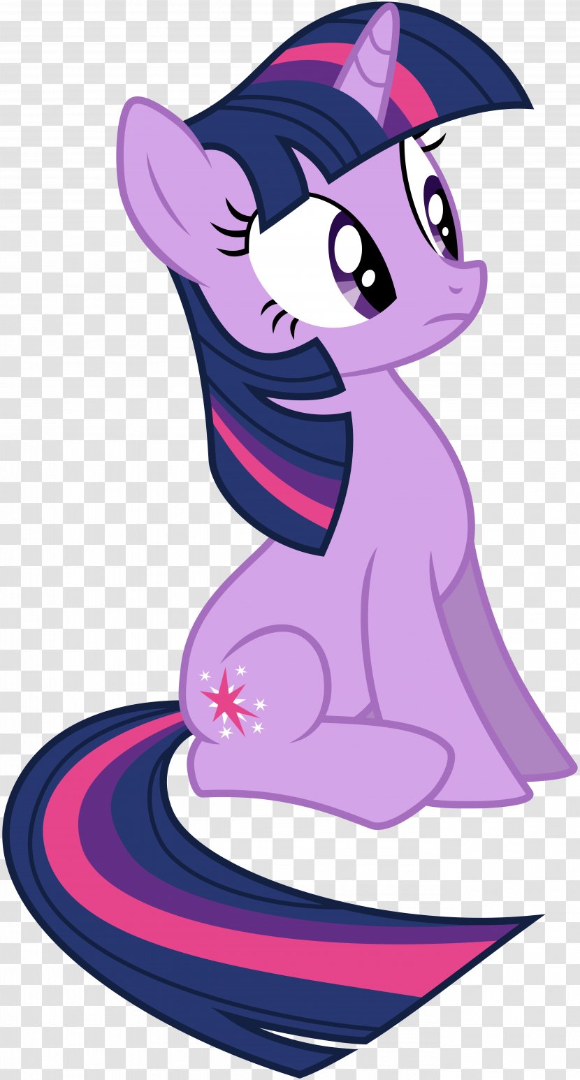 Twilight Sparkle Sunset Shimmer Pinkie Pie Pony Rainbow Dash - My Little Friendship Is Magic Fandom Transparent PNG