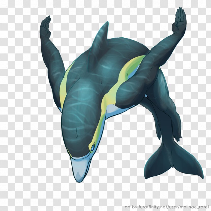 Short-beaked Common Dolphin Drawing Cetaceans Transparent PNG