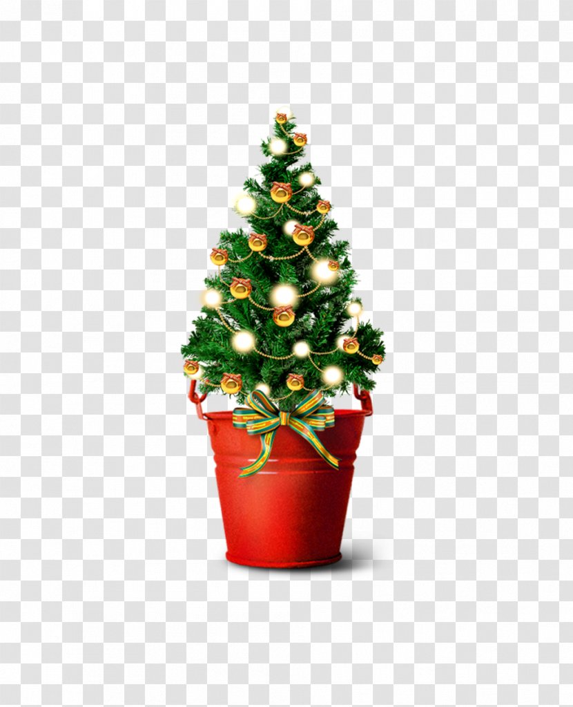 Santa Claus Christmas Tree Gift - Evergreen - Mini Bucket Transparent PNG