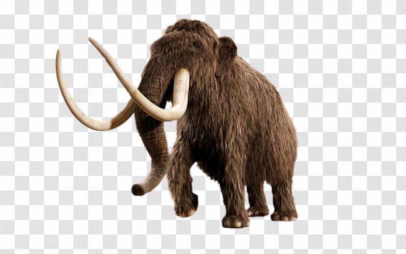 Woolly Mammoth Beringia Elephant Yuka Ice Age Transparent PNG