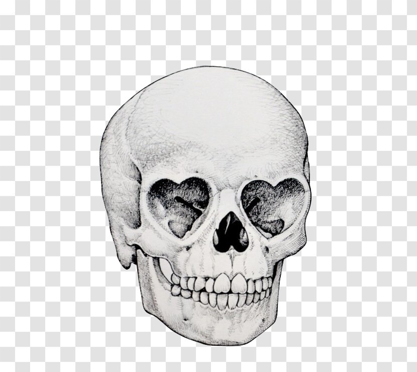 Skull Drawing Illustration Image Eye - Face Transparent PNG