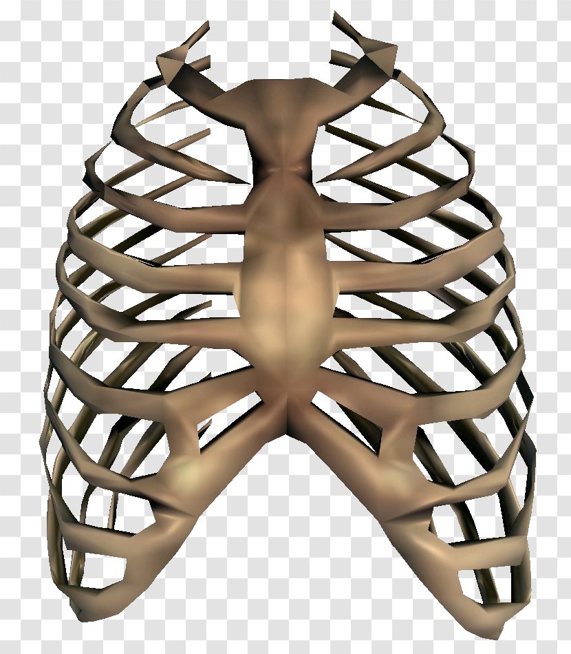 Rib Cage Human Skeleton Clip Art - Flower - Bones Transparent Image Transparent PNG
