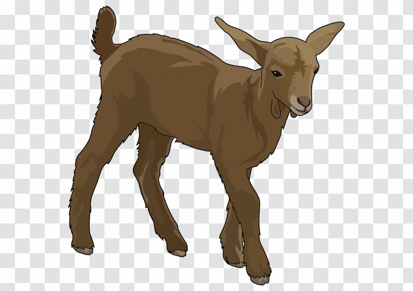 Goat Education Party Voluntary Association Cattle - Meeting Transparent PNG