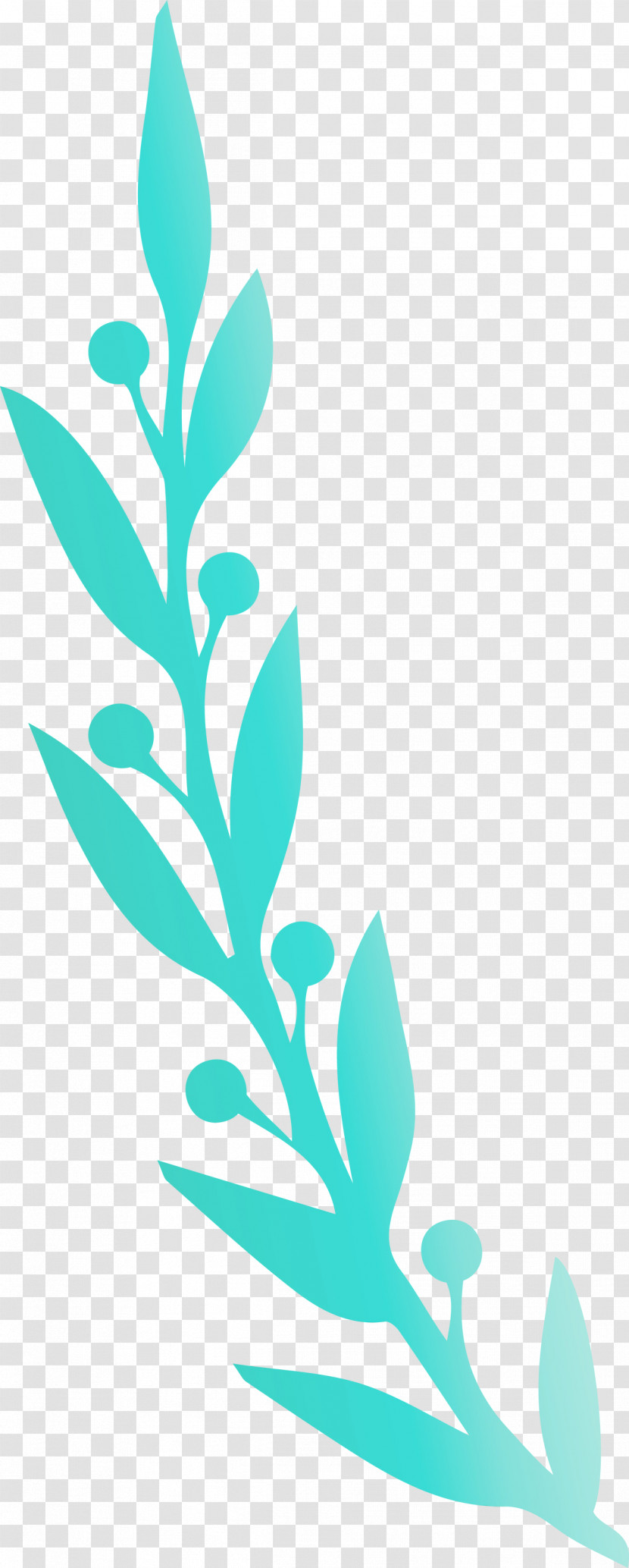 Plant Stem Leaf Flower Line Meter Transparent PNG