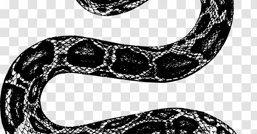 Snake Cartoon - Cobra - Scaled Reptile Style Transparent PNG