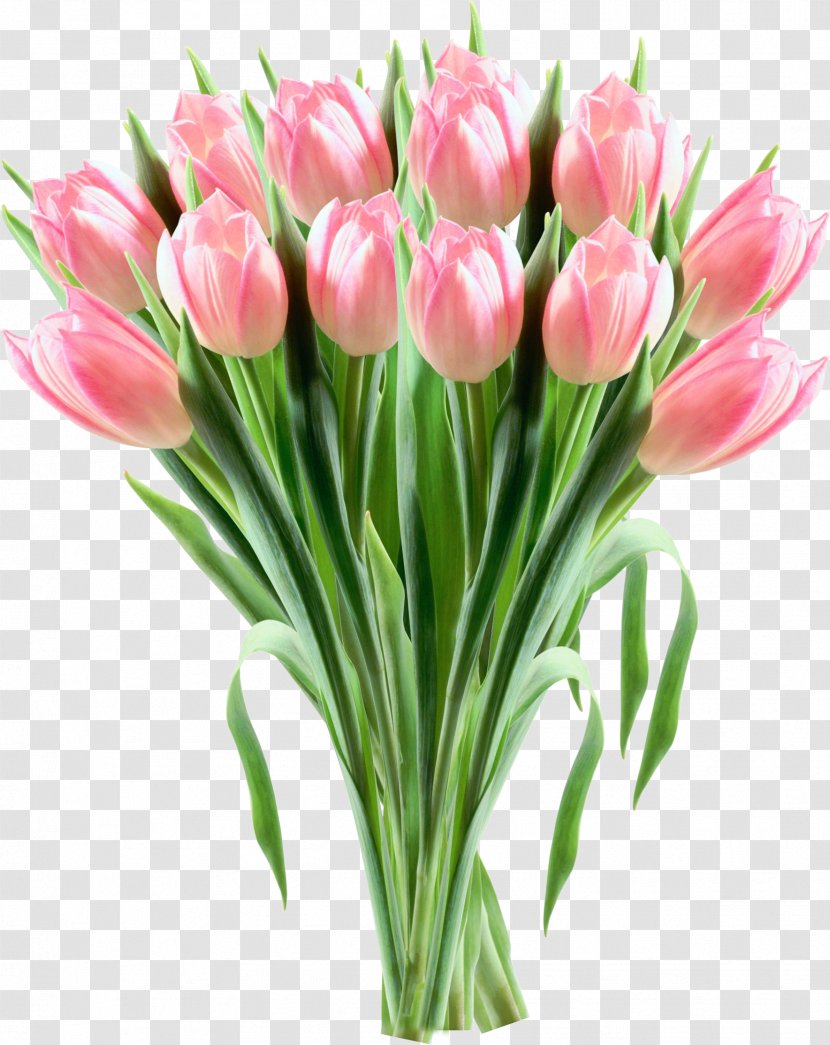 Tulip Pink Flowers Clip Art Floral Design Transparent Png