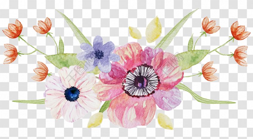Floral Design Clip Art Flower Image - Wildflower - Advice Watercolor Transparent PNG