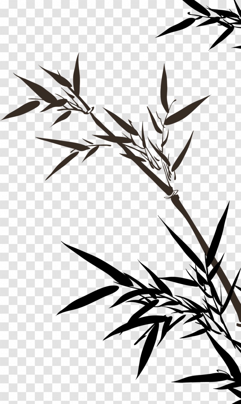 Bamboo Drawing Clip Art - Twig - Leaves Transparent PNG