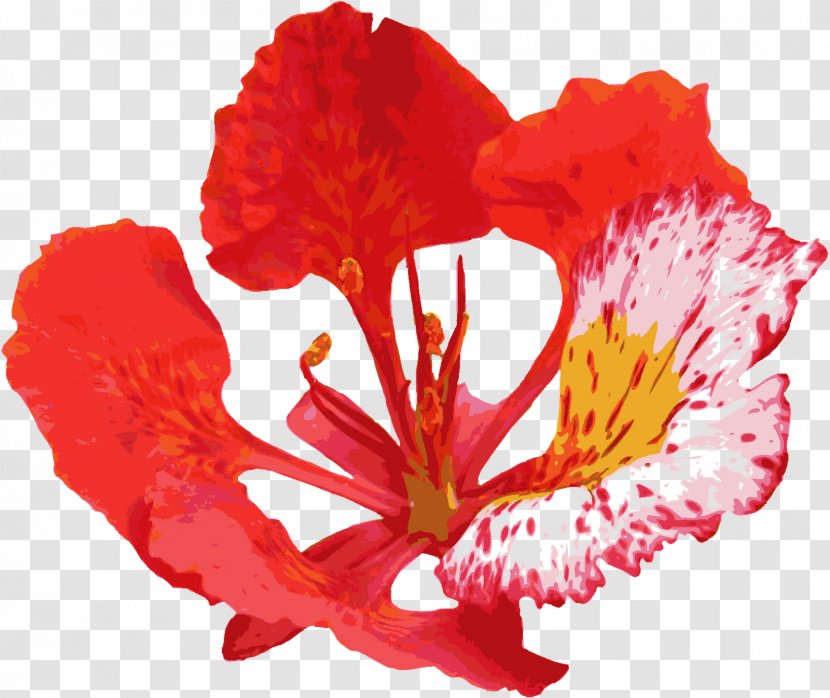 Flower Ppt - Flowering Plant - Red Transparent PNG