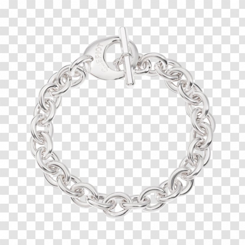 Charm Bracelet Silver Chain Jewellery Transparent PNG