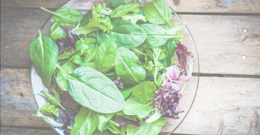 Leftovers Leaf Vegetable Salad Spinach - Lettuce Transparent PNG