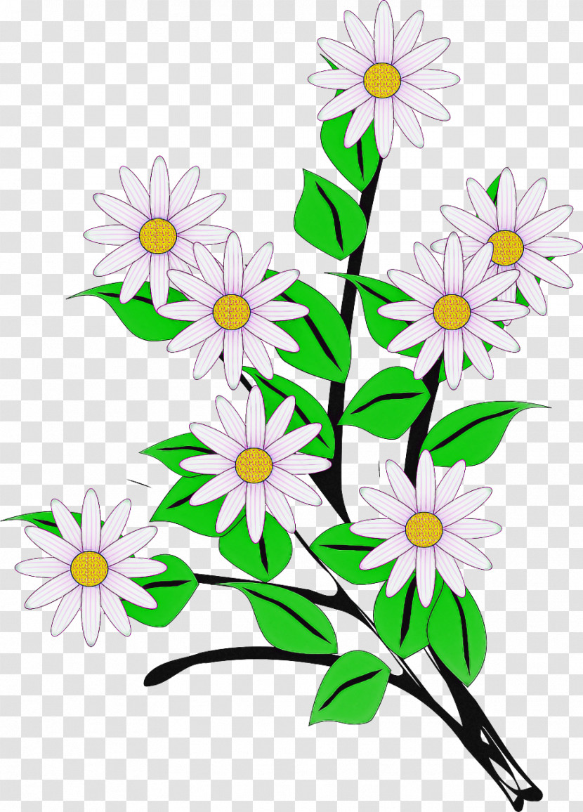 Daisy Transparent PNG