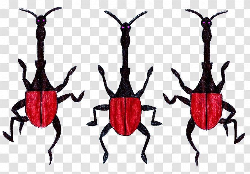 Wheat Weevil Insect Hylobius Abietis Giraffe - Ayeaye - Beetle Transparent PNG