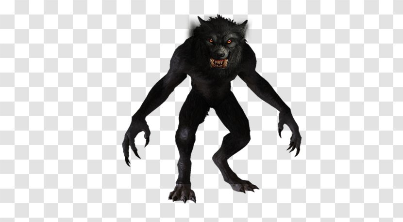 Werewolf Bigfoot Gray Wolf YouTube Legendary Creature - Spec Script Transparent PNG
