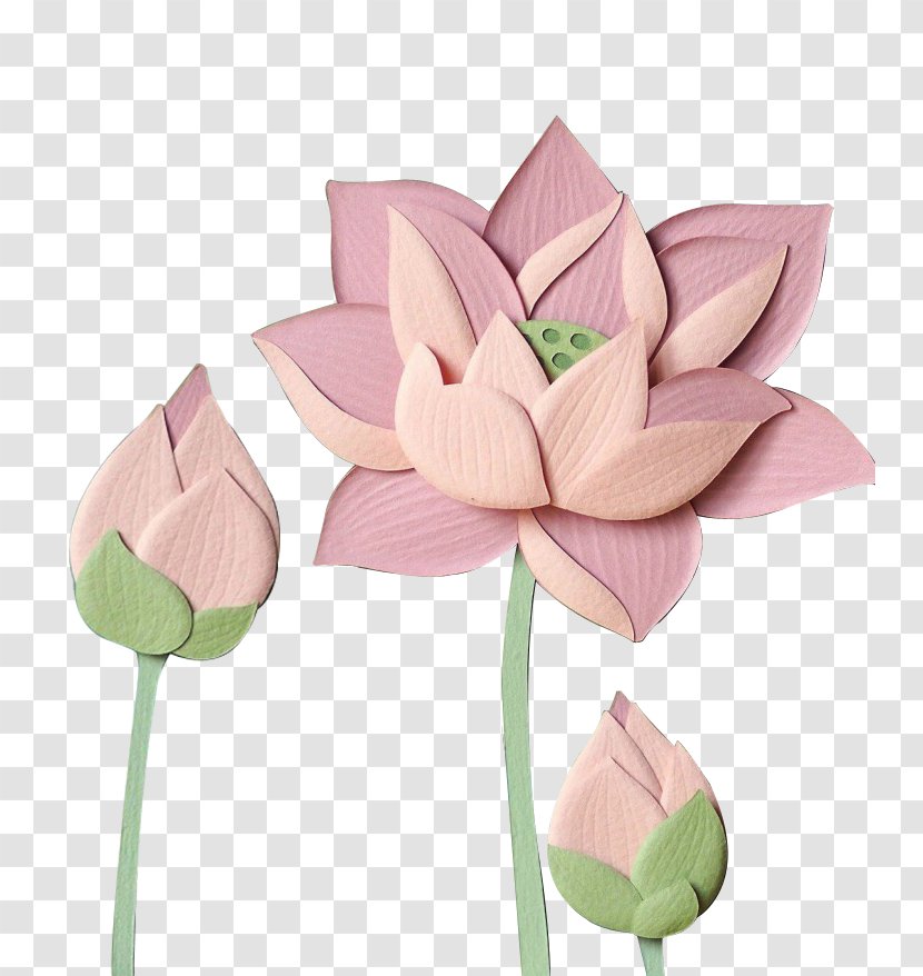 Paper Pink Nelumbo Nucifera - Lotus Transparent PNG