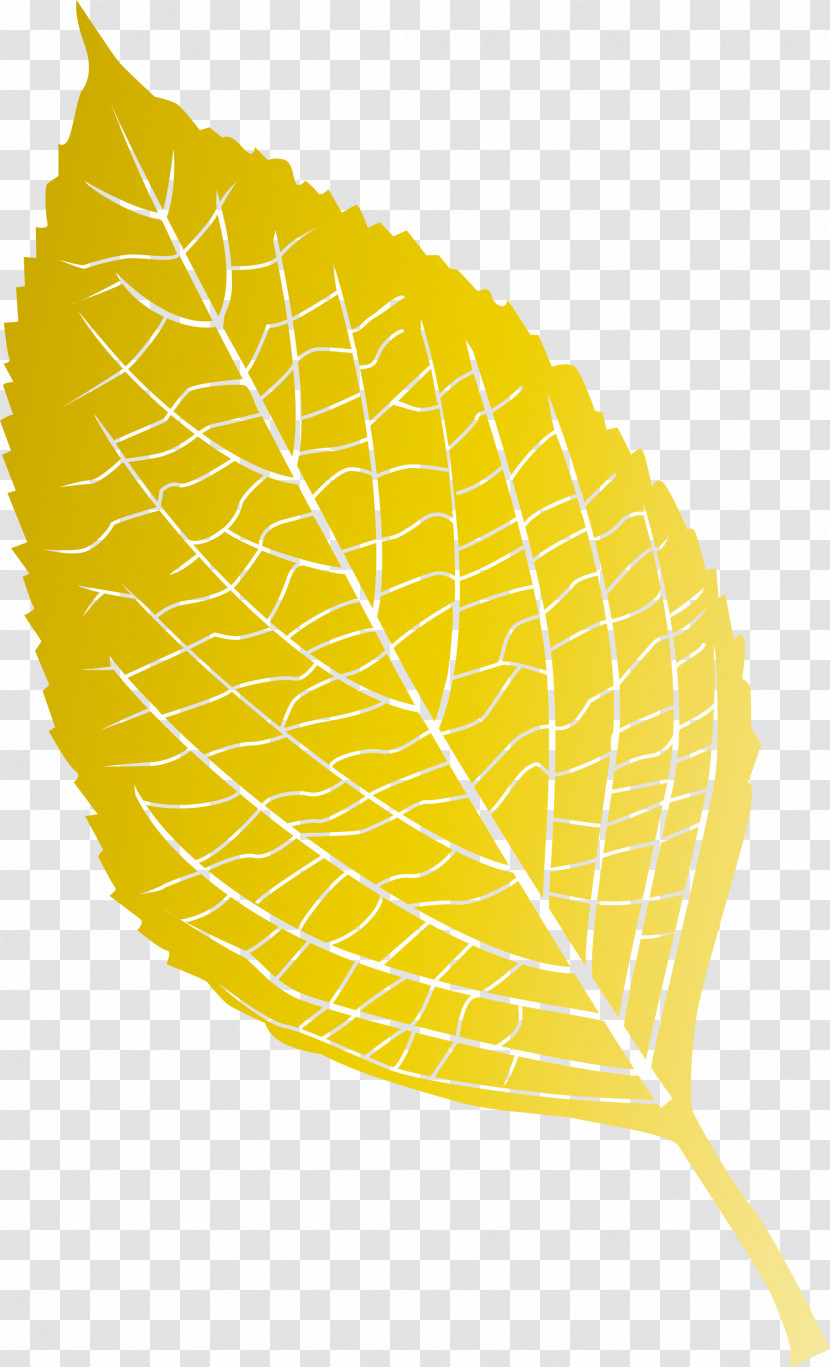 Leaf Transparent PNG