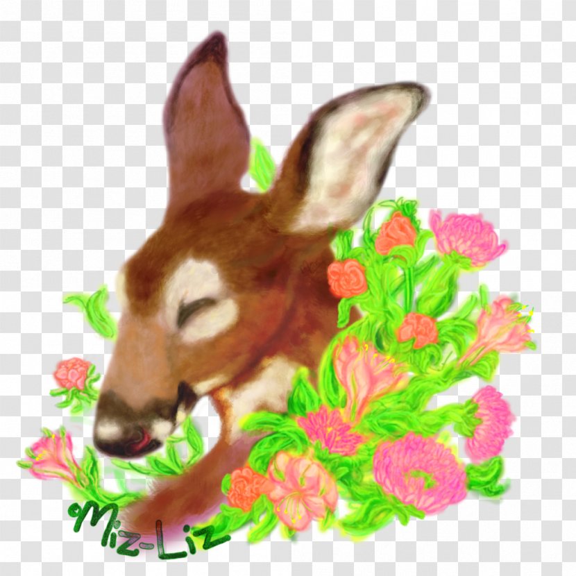 Domestic Rabbit Easter Bunny Hare Macropodidae - Marsupial Transparent PNG