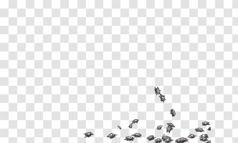 Bird Migration Flock Desktop Wallpaper Font - Monochrome Photography Transparent PNG