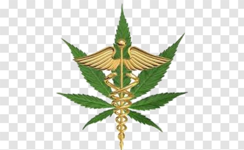 Florida Amendment 2 Medical Cannabis Constitutional Transparent PNG