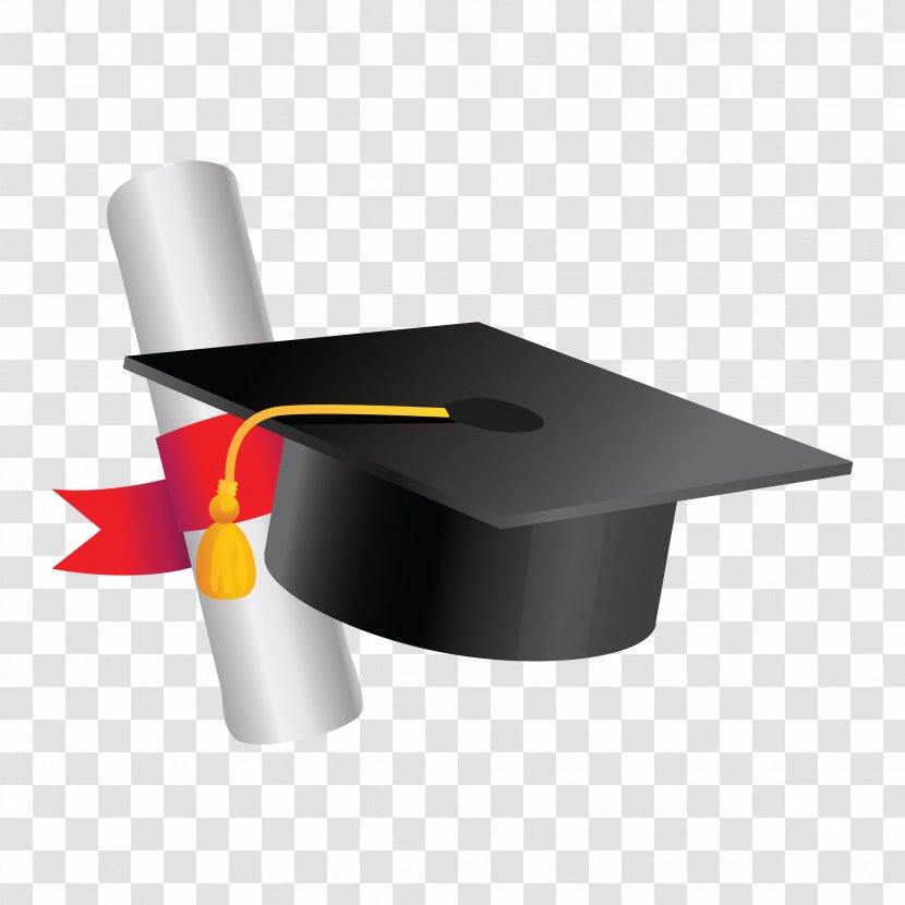 Education Academic Degree Student School Organization - Educational Transparent PNG